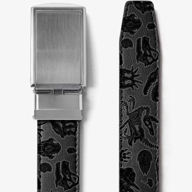 Jurassic Belt